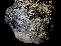 /album/galerie-photos/moun-caou-mineraux-indetermines-2-jpg/